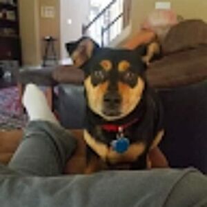 Meet your Posher, Jennifer